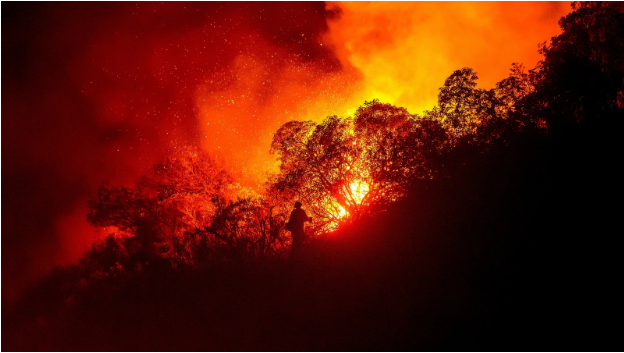 California Wildfires (photo courtesy of Hindustan Times).