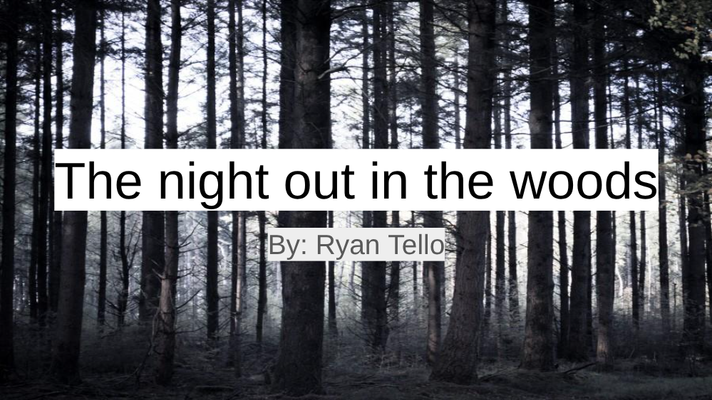 The Night Out in the Woods