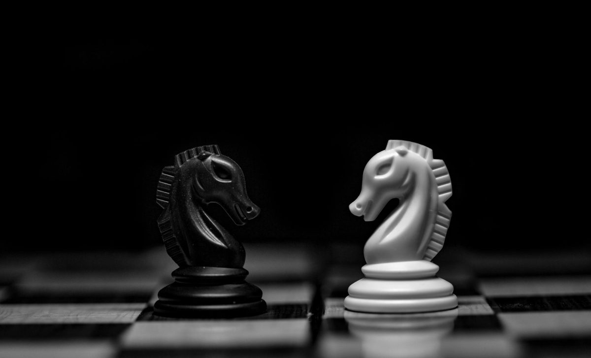 Chessboard picture of two knights (photo by Hassan Pasha)
