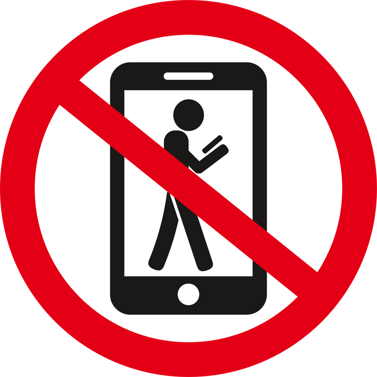 Students opinions on the phone ban in 2027