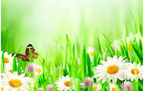 This photo represents a spring photo because the article about spring break.(Google)
