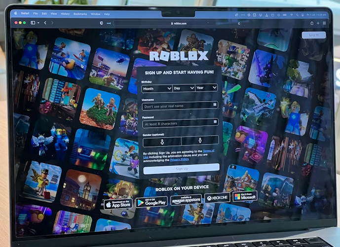 Picture of Roblox (from unsplash)