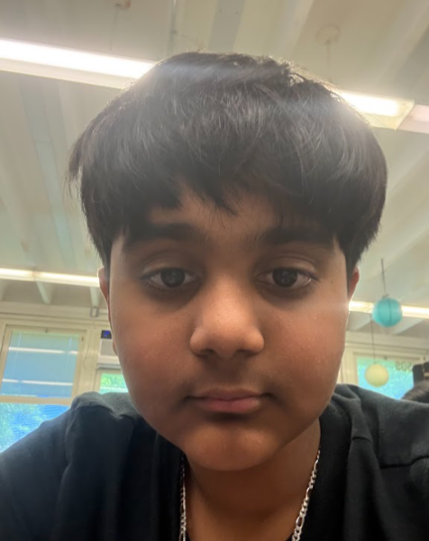 Viaan Visveswaran